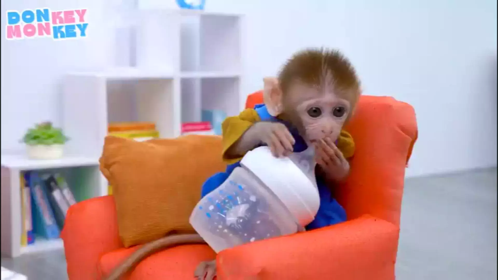 کارتون میمون کوچولو بازیگوش | دانلود با کیفیت عالی