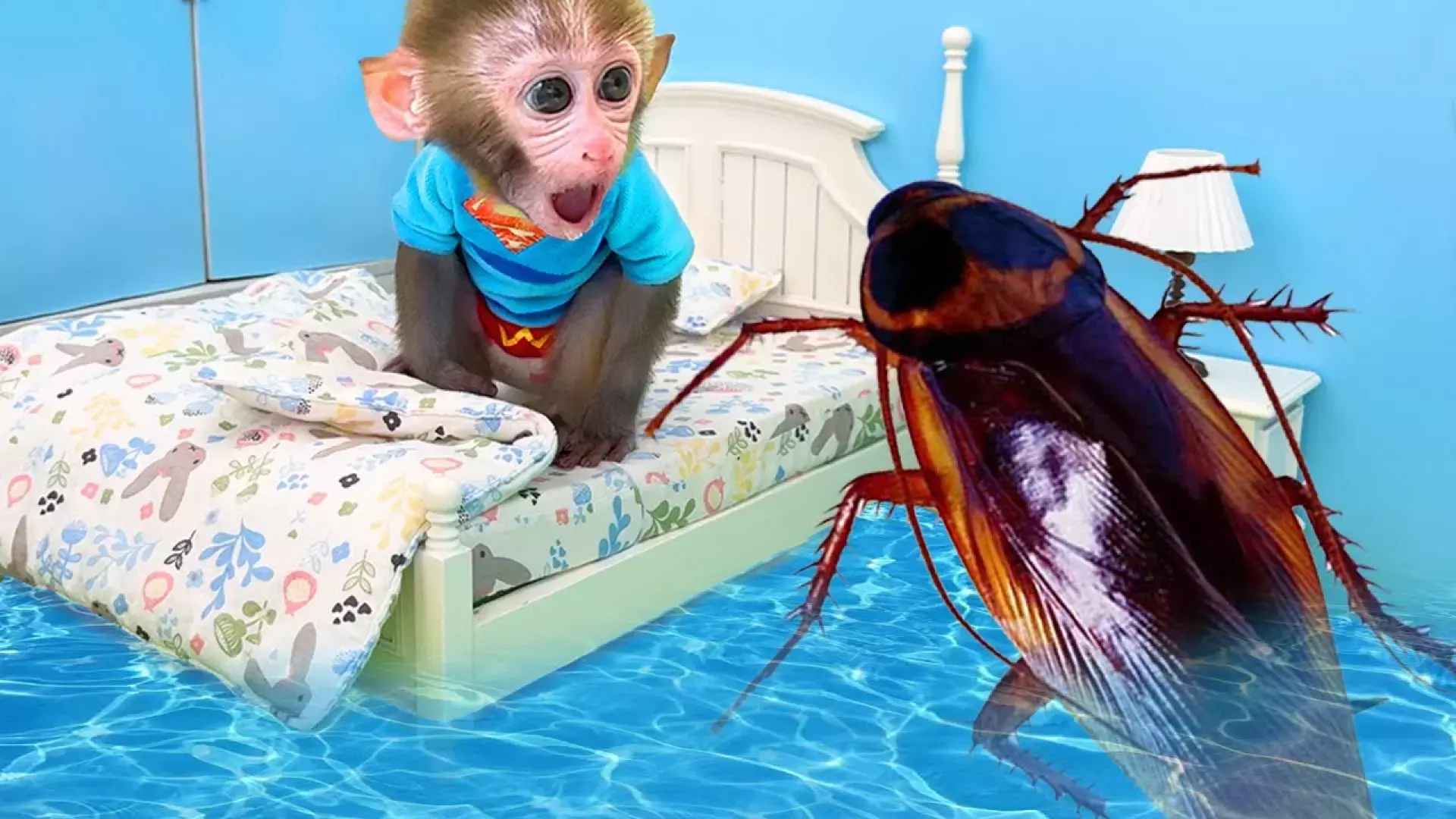 کارتون میمون کوچولو بازیگوش | تماشای آنلاین رایگان