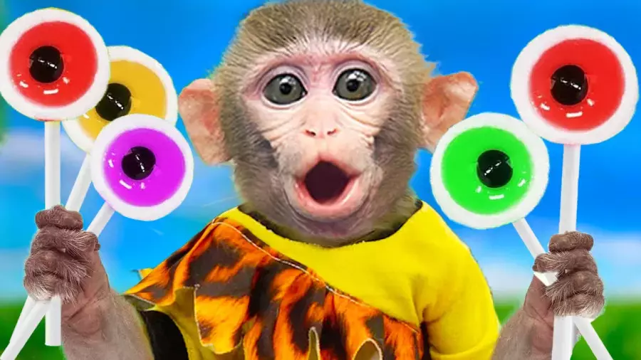 کارتون بچه میمون | جدیدترین قسمت ماجراجویی و آبنبات رنگی میمون بازیگوش
