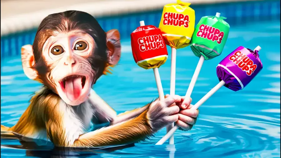 کارتون بچه میمون بامزه جدید | ماجراهای بچه میمون و آبنبات