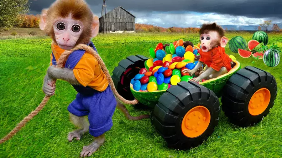 انیمیشن آموزشی میمون بازیگوش | ماشین بازی بچه میمون جدید