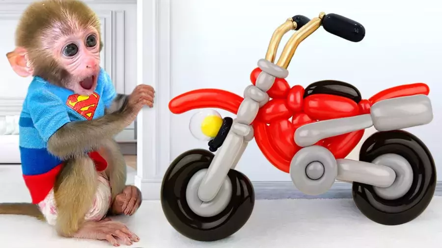 انیمیشن آموزشی میمون بازیگوش | بچه میمون و موتور