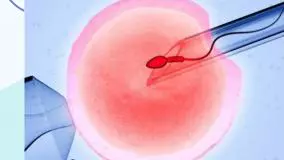 آیا آی وی اف یعنی راه آخر؟