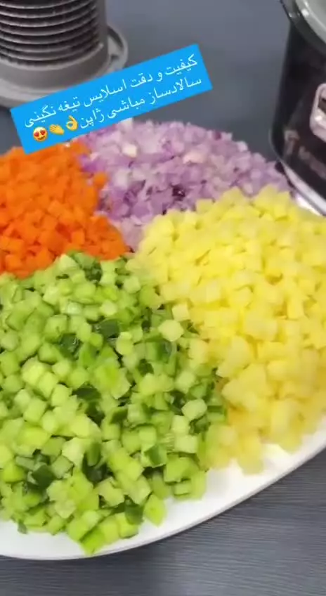 ‪سالاد ساز مباشی ژاپن مدل ۱۰۰۱‬