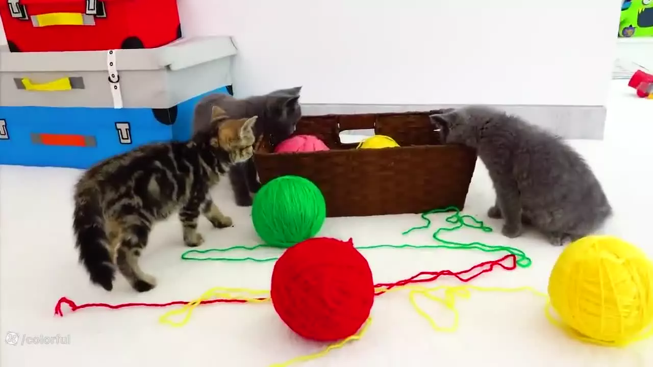 ولاد و نیکی-چالش پلیس بازی-برنامه کودک ولادو نیکی جدید-سرگرمی کودک کارتون ولاد