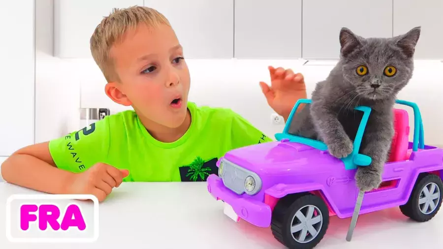 ولاد و نیکی-چالش گربه ملوس-برنامه کودک ولادو نیکی جدید-سرگرمی کودک کارتون ولاد