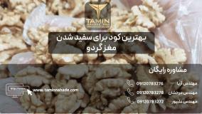 بهترین کود برای سفید شدن مغز گردو