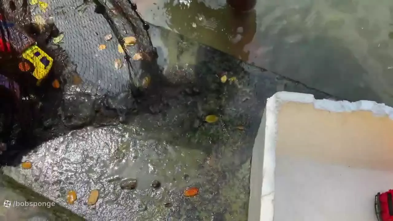 ماشین کوچولوها _ ماشین اسباب بازی _ ماشین بازی کودکانه _ کارتون جدید