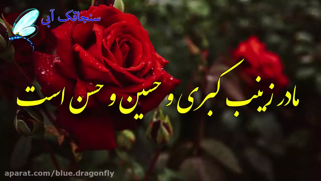 روز مادر و زن: تبریک ولادت حضرت فاطمه با کلیپ زیبا