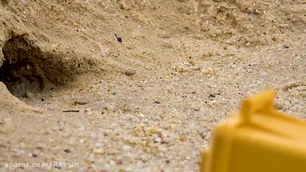 اسباب بازی های جدید و ماشین بازی :: سرگرمی کودکانه جدید