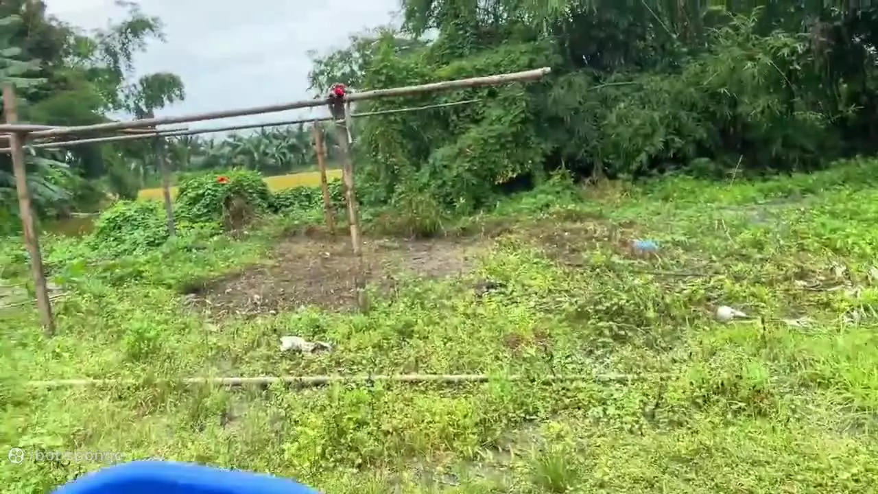 ماشین کوچولوها _ ماشین اسباب بازی _ ماشین بازی کودکانه _ کارتون جدید