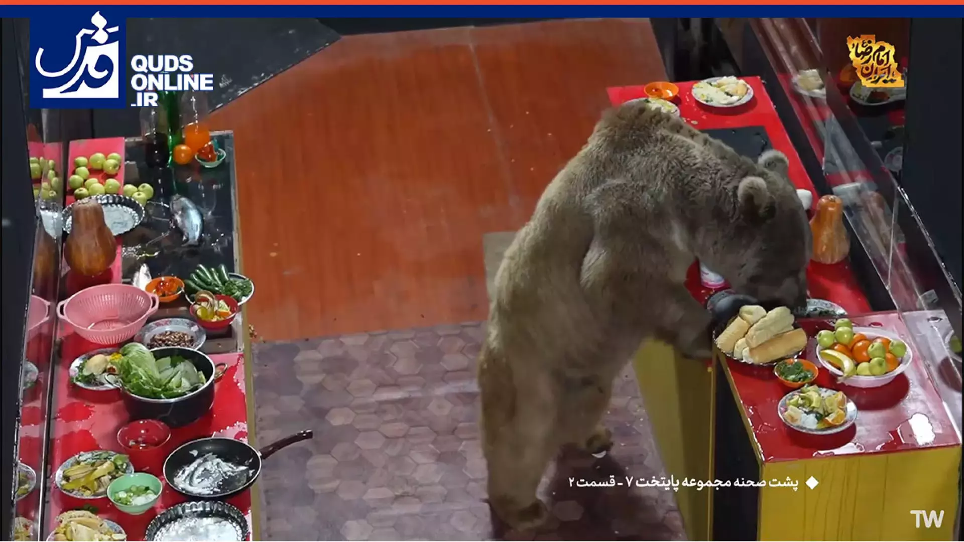 پشت صحنه پایتخت؛ حمله خرس به اتوبوس ارسطو