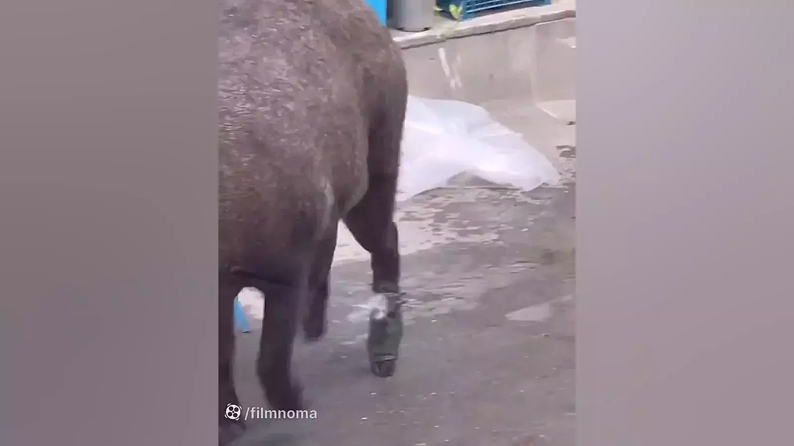 ویدئوی جنجالی از پشت صحنه پایتخت هفت _ پایتخت هفت