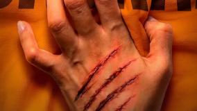 تیزر سریال شغال قسمت ۱۹