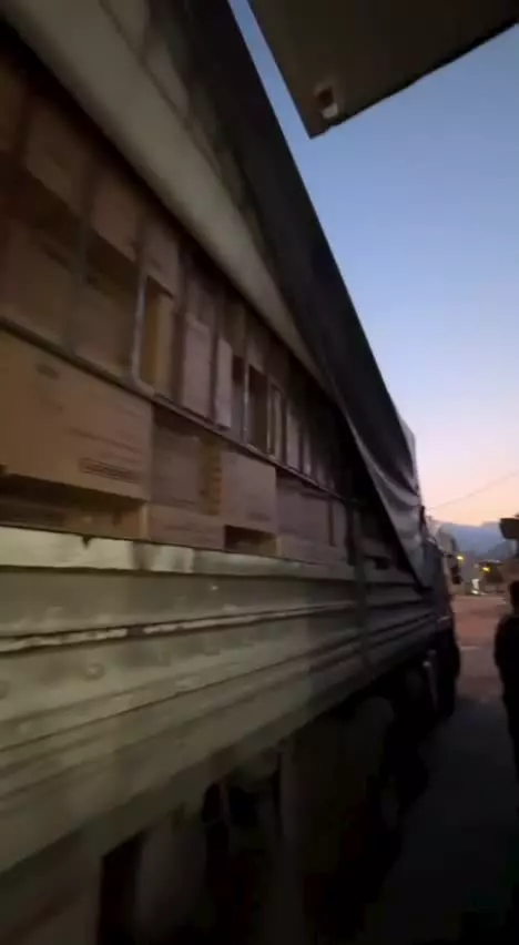 محصولات هنریچ آلمان