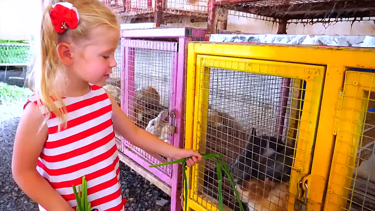 ناستیا و بابایی: خواب‌های جادویی در دنیای تخیل!