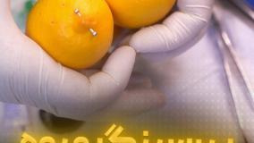 پیرسینگ‌میوه