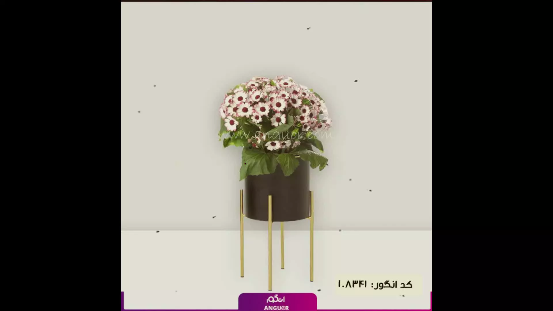 سفارش گل سینره رنگارنگ