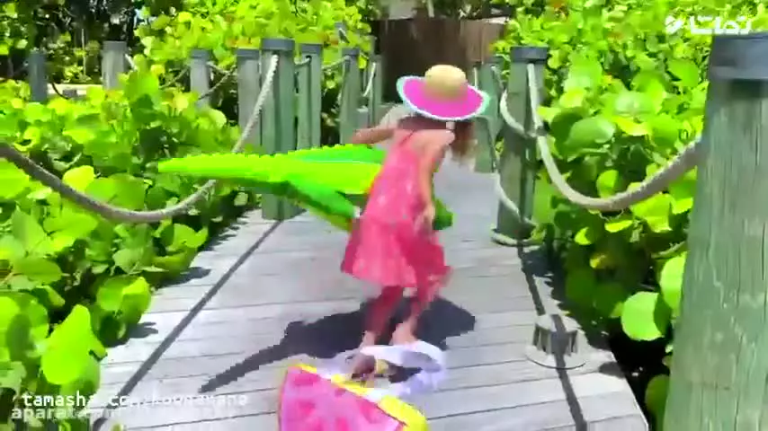 کارتون ناستیا و استیسی طولانی نیم ساعته