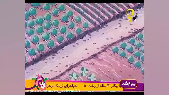 کارتون خاله ریزه و قاشق سحرآمیز: قسمت 5 با ماجراهای جدید!