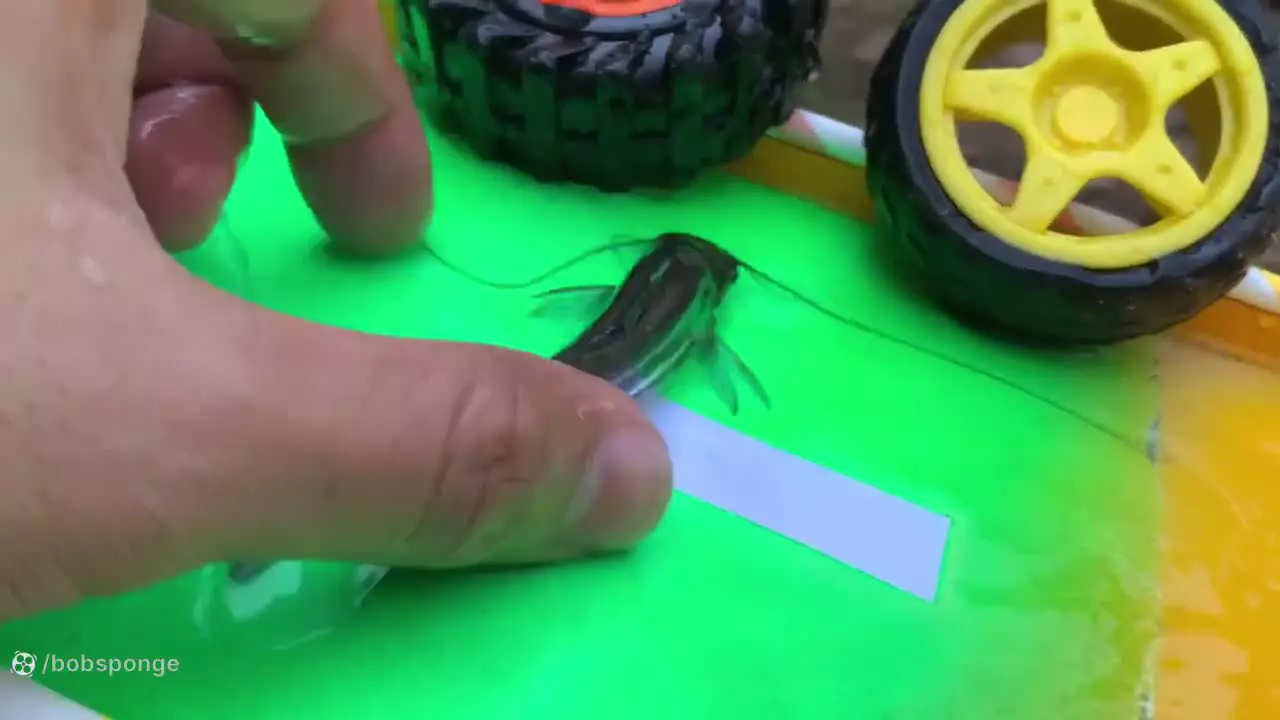 ماشین کوچولوها _ ماشین اسباب بازی _ ماشین بازی کودکانه _ کارتون جدید