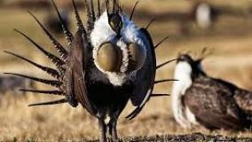 عجایب ودانستنی ۶۴۵