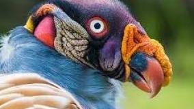 عجایب ودانستنی ۴۲۲