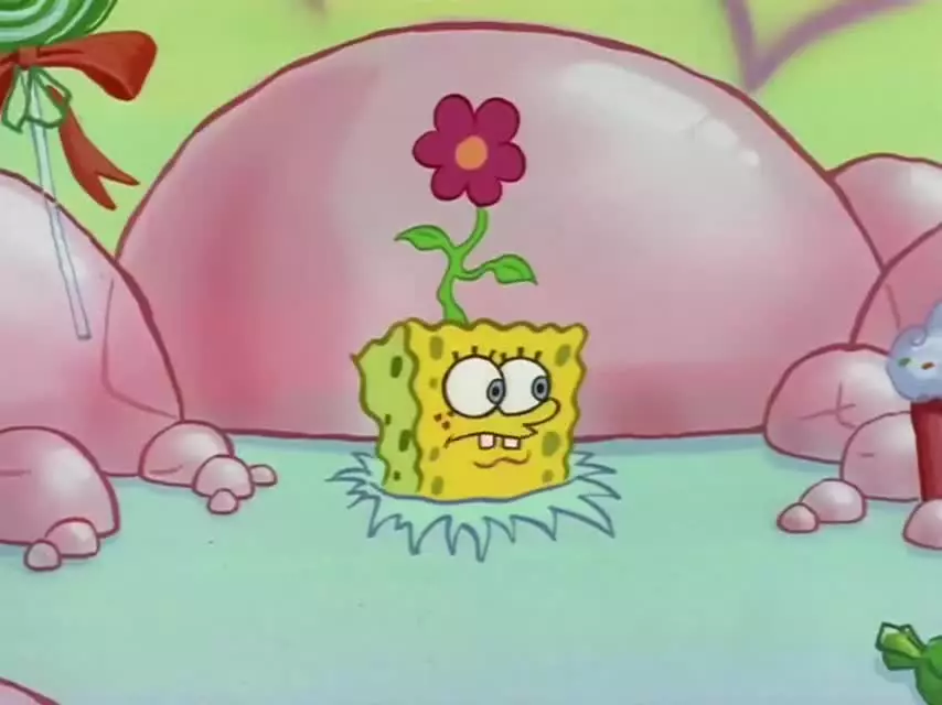 باب اسفنجی جدید - کارتون باب اسفنجی خوابالو - انیمیشن باب اسفنجی خنده دار