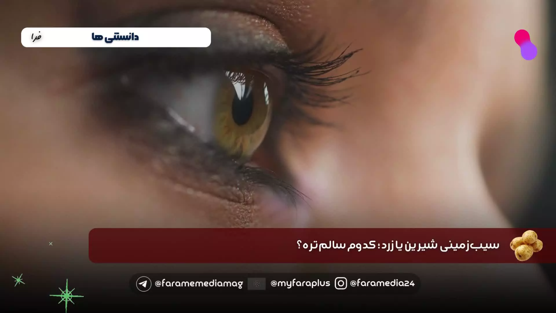 سیب‌زمینی شیرین یا زرد؟ هر دو سالم و خوشمزه!