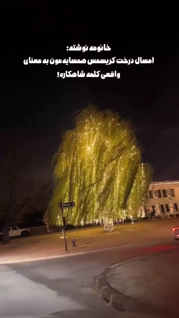 درخت کریسمس