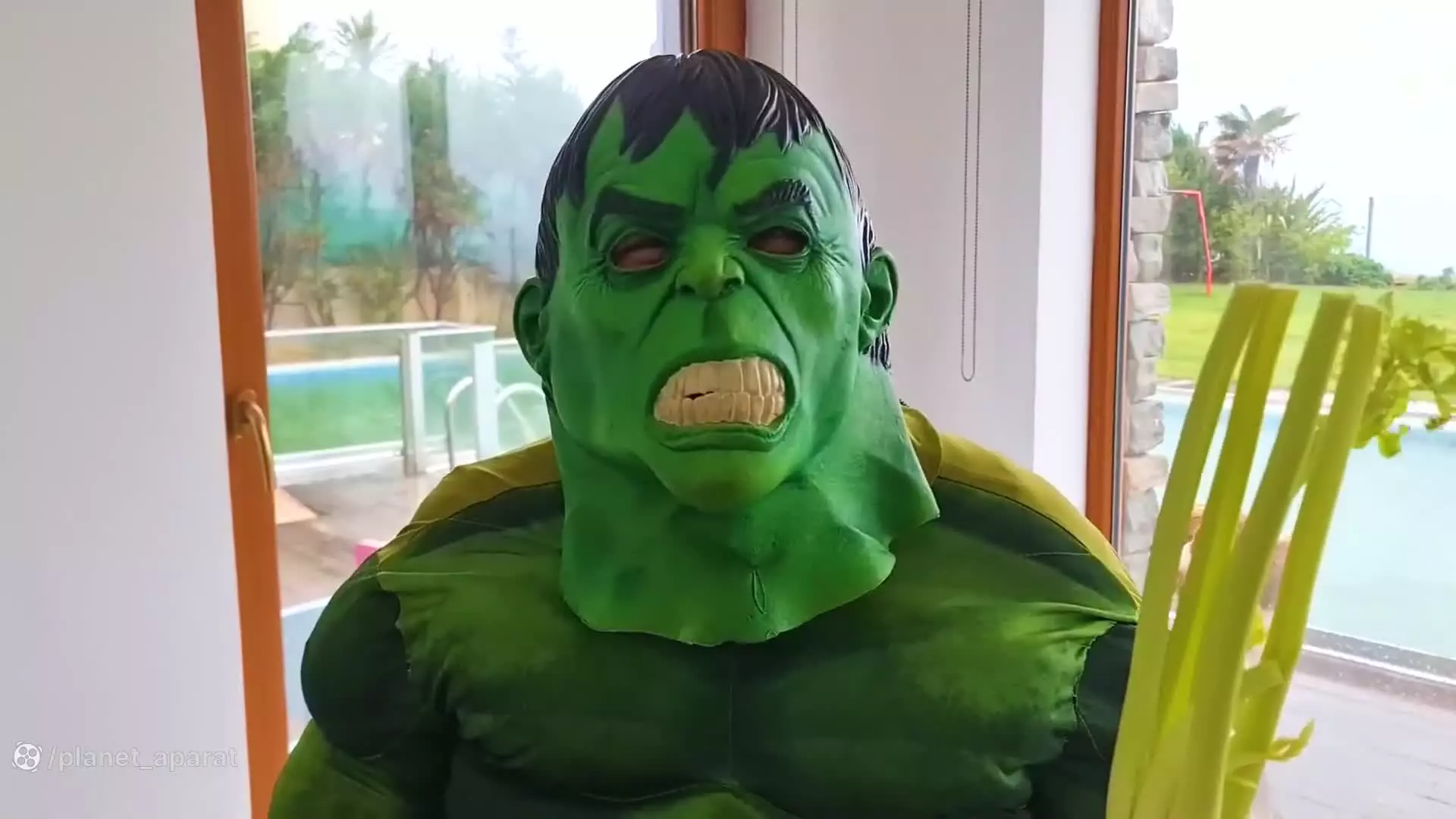 آدریانا و دوستی با مرد عنکبوتی و هالک: دنیای هیجان‌انگیز قهرمانان!