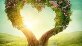 دانستنی  گل وگیاه زیبا