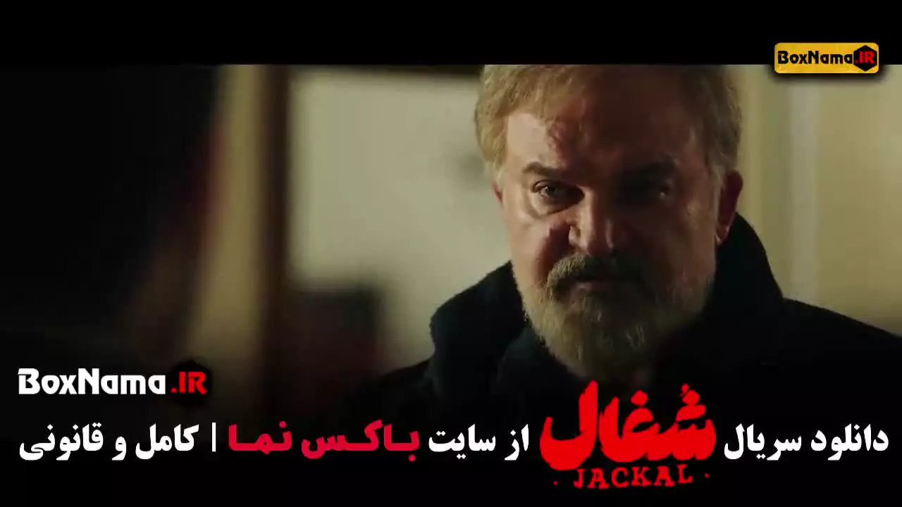 شغال / محکوم / هزار و یک شب / بامداد خمار