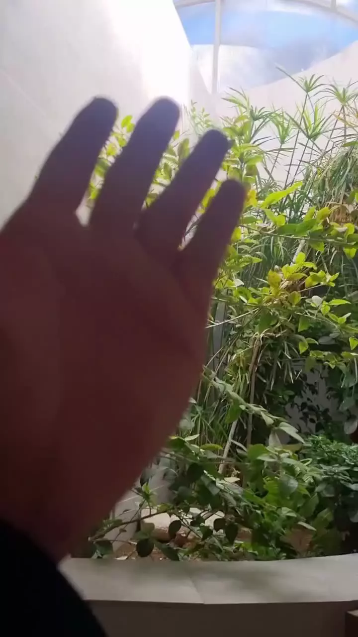 توالت عمومی تمیز بیرجند