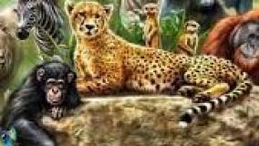 سگ با پلنگ - 45 اشتباه و لحظه شکار سگ | حیات وحش