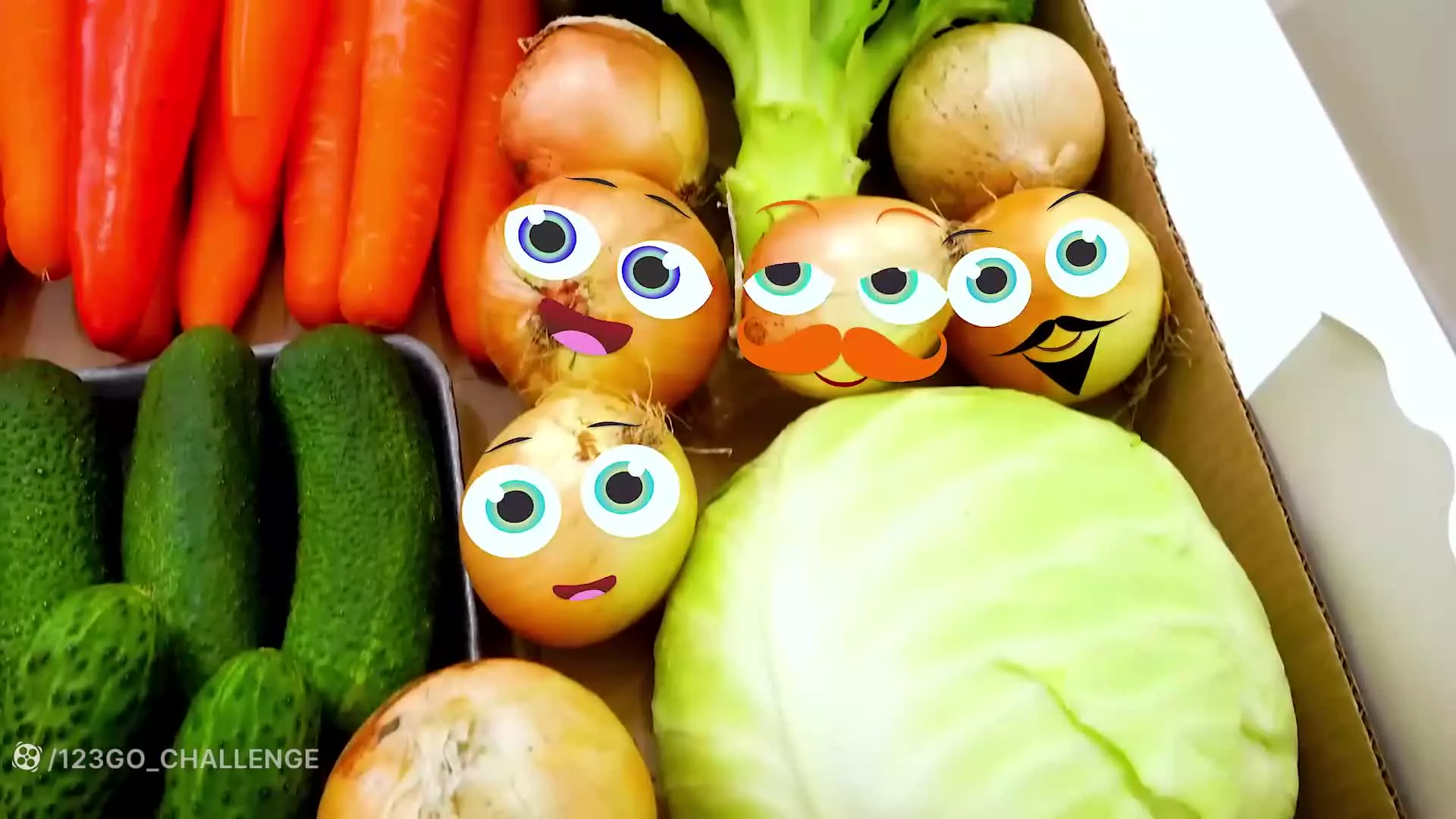 ولاد - ولاد و نیکی - کارتون ولاد و نیکی جدید خنده دار ولاد و نیکی نقشه ی گنج