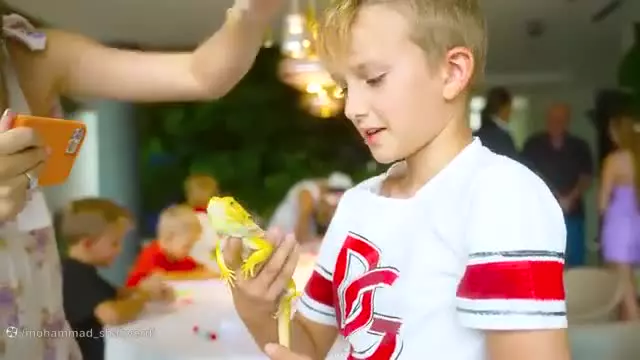 ولاد - ولاد و نیکی - کارتون ولاد و نیکی جدید خنده دار نیکی و نیکیتا بازی جدید