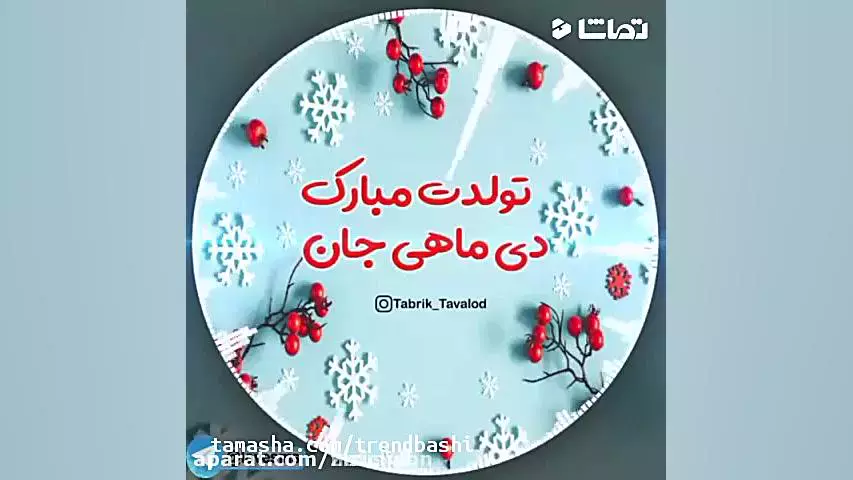 شگفت‌انگیزترین استوری‌ها و کلیپ‌ها برای تبریک تولد دی ماهی‌ها!