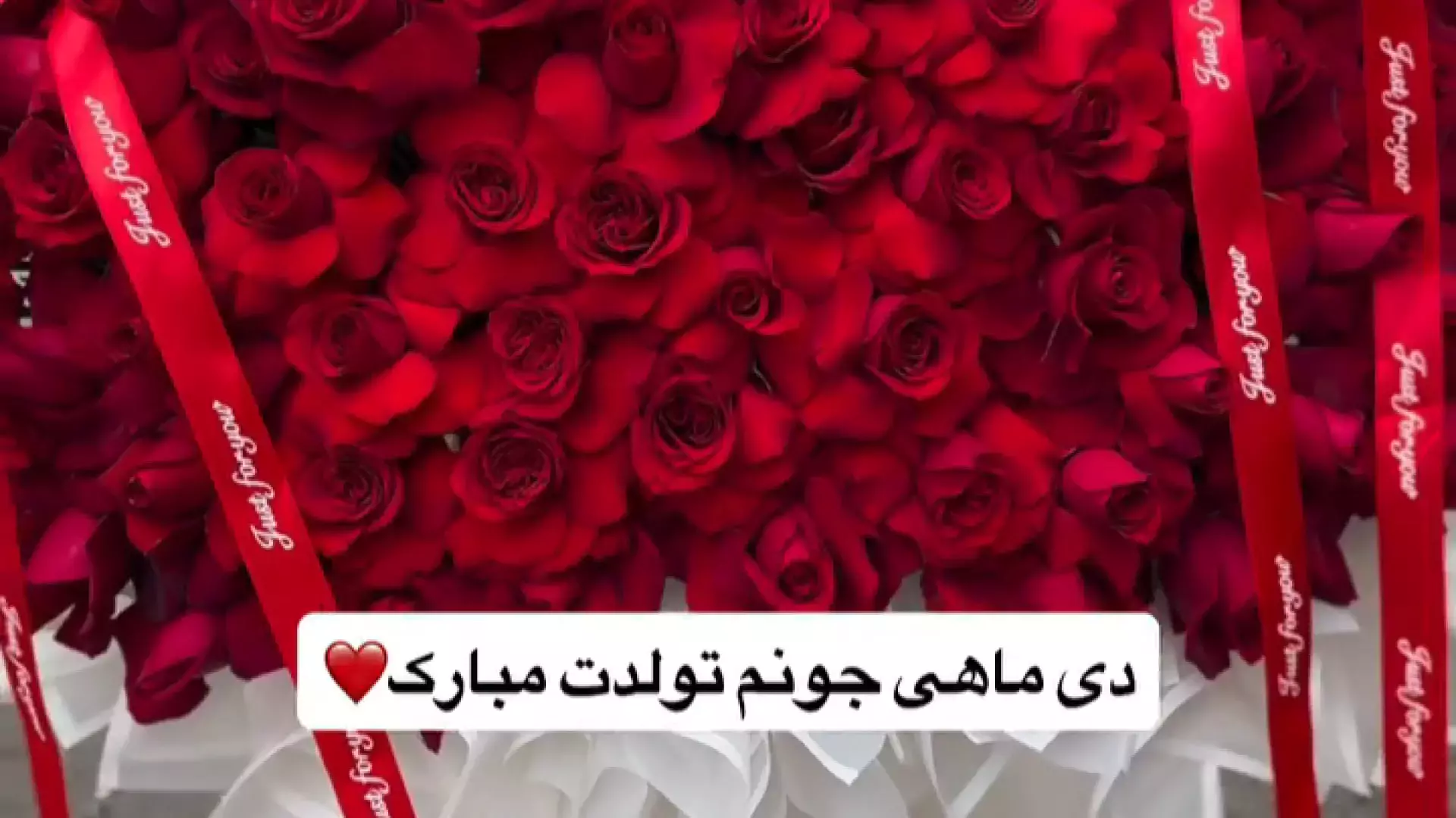 استوری‌های خاص برای تبریک تولد دی ماهی‌ها