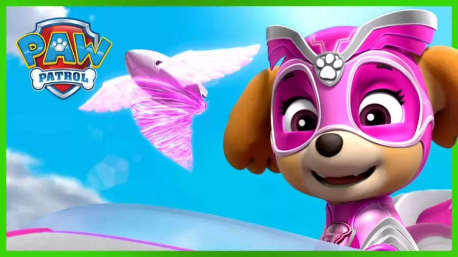 کارتون سگ های نگهبان جدید | بهترین نجات توله‌سگ‌های قدرتمند