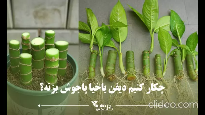 چکار کنیم دیفن باخیا پاجوش بزنه؟ | تایمکس