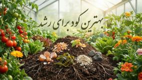 بهترین کود برای رشد گیاه