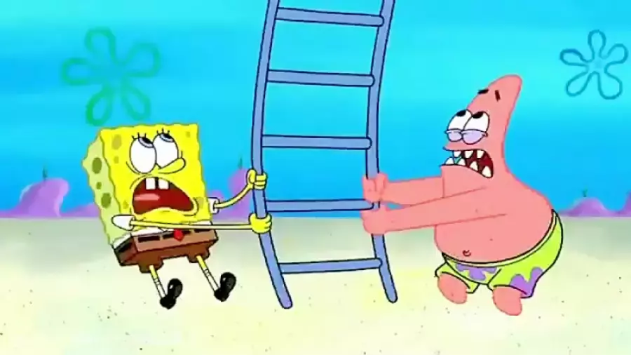 باب اسفنجی باحال - باب اسفنجی خنده دار - کارتون باب اسفنجی - برگ تازه