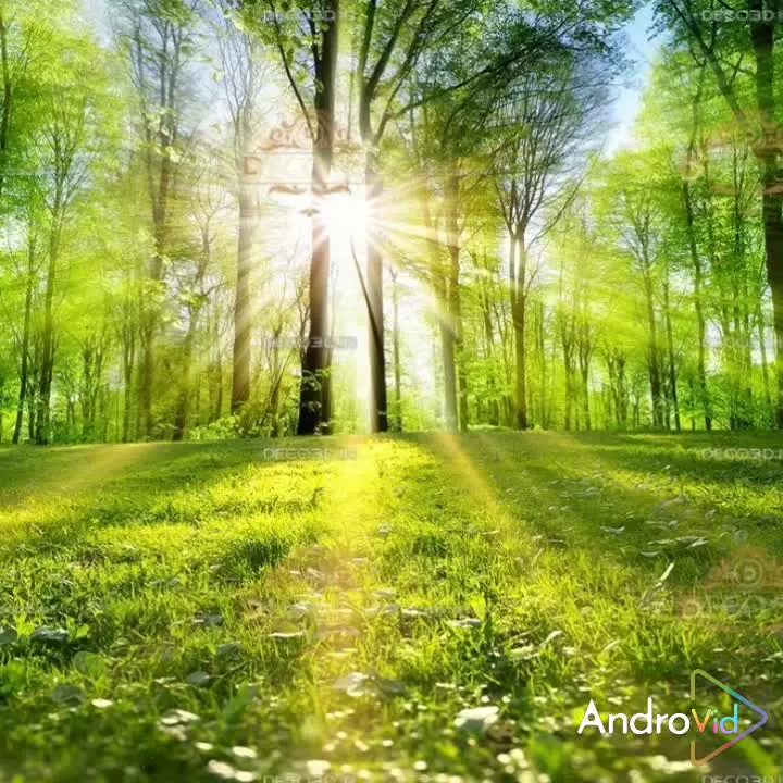 خدا ملکوت الله