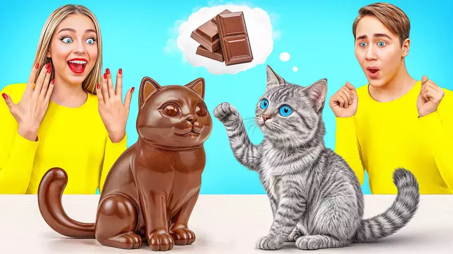 چالش غذایی دونا | چالش موکبانگ آبنبات شکلاتی