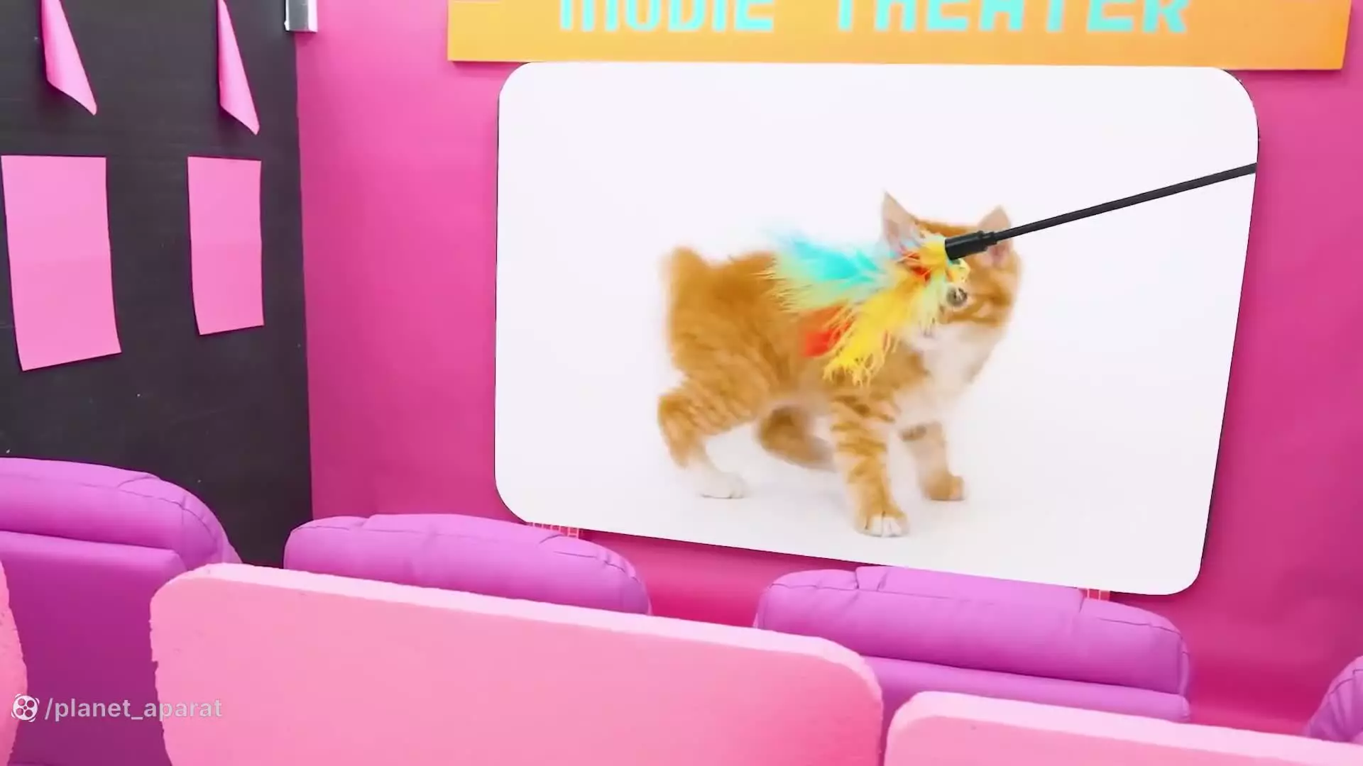 ولا و نیکی. کاوش در دنیای جادویی رنگ ها/چالش ورزشی خنده دار ولاد ونیکی