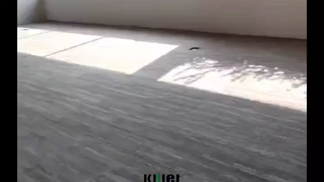 نصب موکت تایل؛ تمیزیِ کار از همین‌جا معلومه