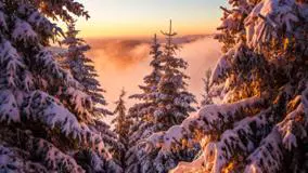 هواشناسی ۸ دی ۱۴۰۴ | ورود سامانه برفی از غروب امروز