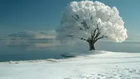 هواشناسی: نخستین بارش برف در شمال تهران؛ صبح فردا چه انتظاری داشته باشیم؟