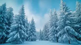 هشدار هواشناسی درباره کاهش شدید دمای هوا تا پنجشنبه!